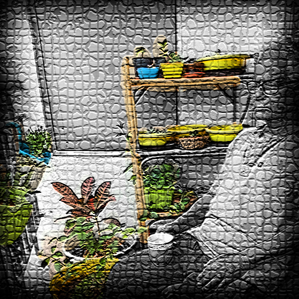 পুনর্বিন্যাস