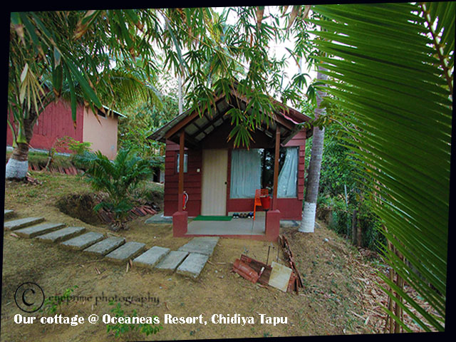 10 days in Andaman – Chidiya Tapu and a sweet goodbye – 30th Dec’19 – 1st Jan’20